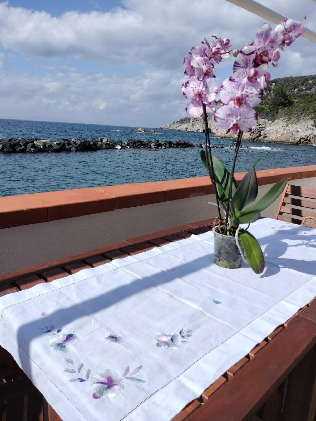Casa Vacanza Verde Smeraldo- Massa Lubrense Eksteriør billede